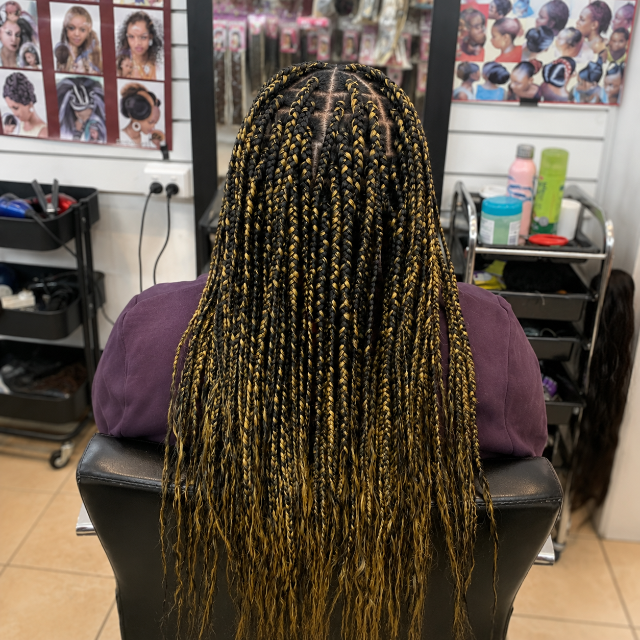 Braided hairstyle 1